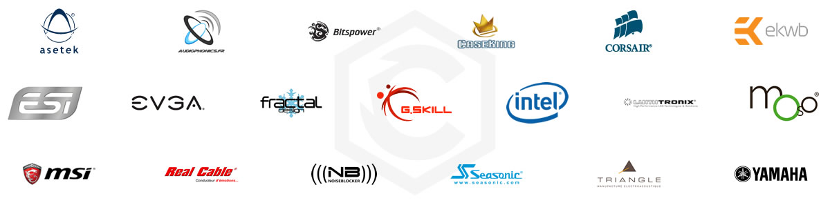 partners